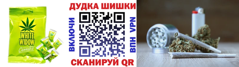 где можно купить наркотик  Городовиковск  Cannafood конопля 