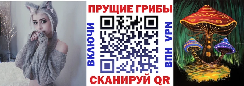 Псилоцибиновые грибы Psilocybine cubensis  Городовиковск 
